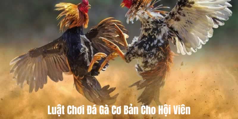 365Vn là một trang web chơi game hợp pháp - 365Vn